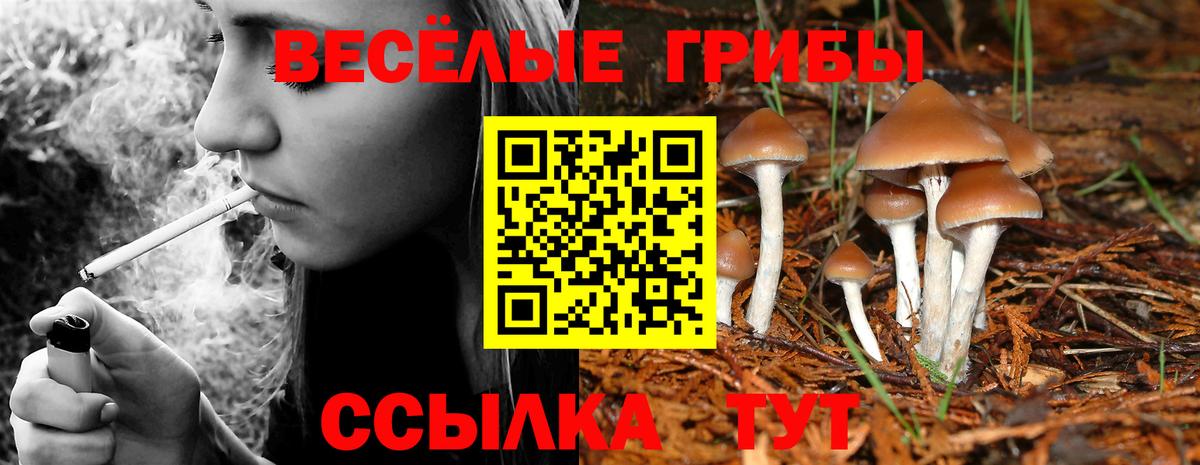 Псилоцибиновые грибы ЛСД  Вход с VPN  наркота  Черкесск 